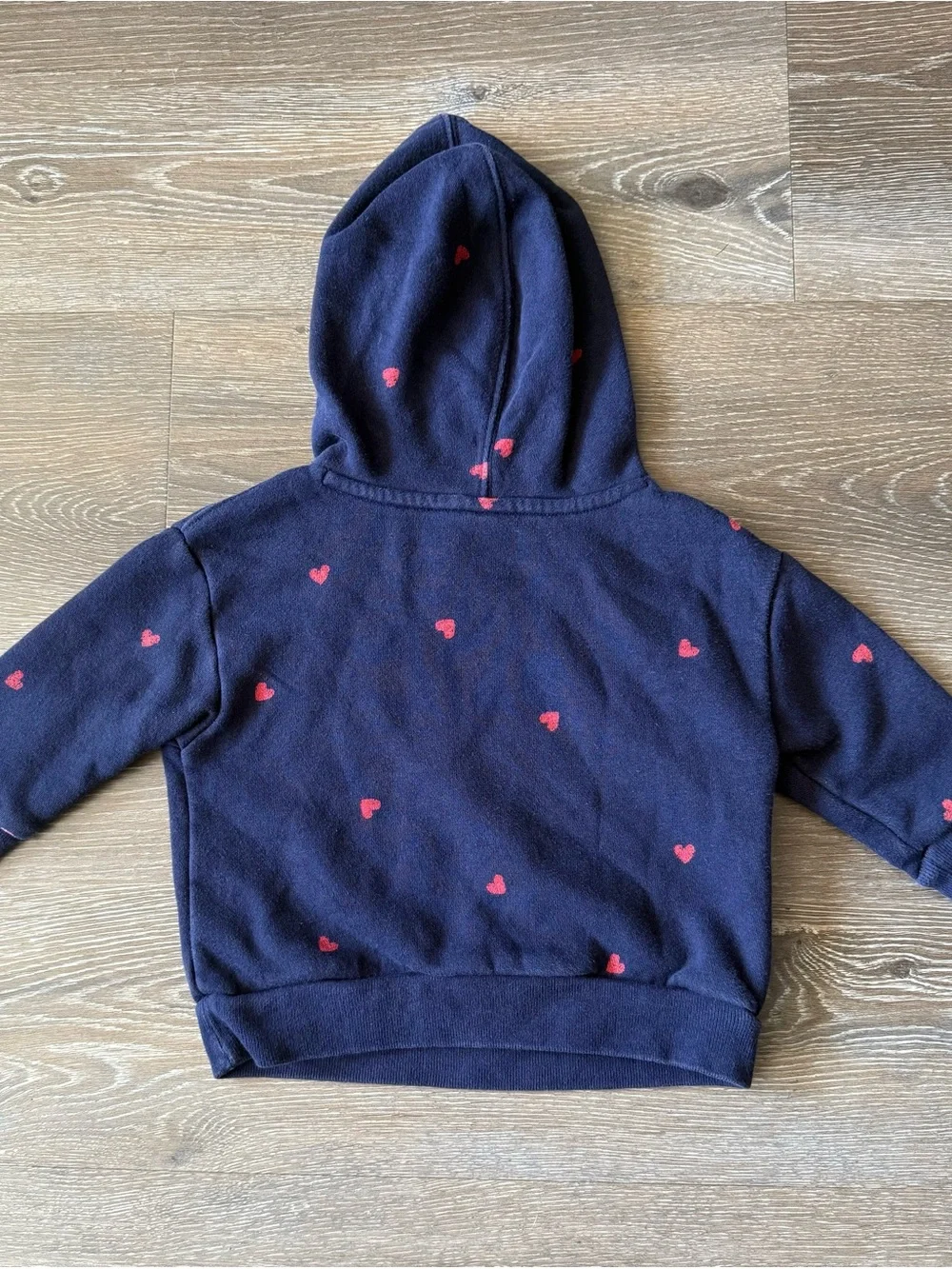 GAP Navy Hoodie with Red Heart Logo and Heart Accents